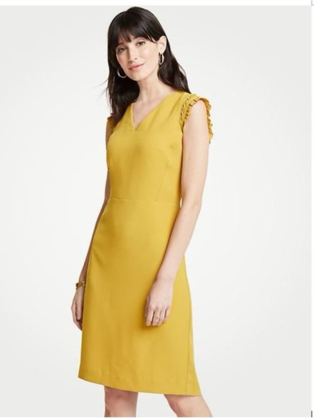 Anne Taylor dress